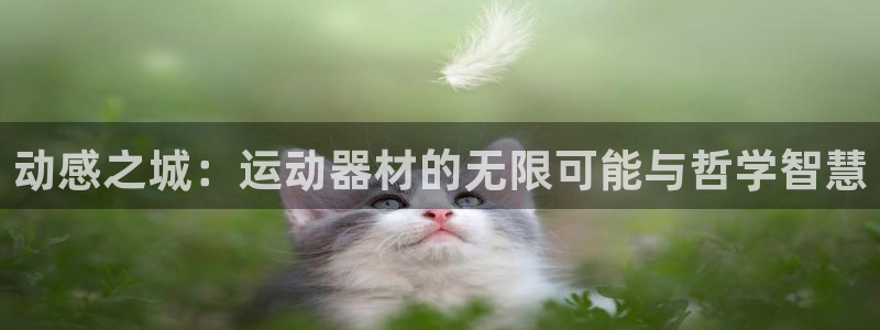 征途国际招商电话号码查询:动感之城:运动器材的无限可能与哲学