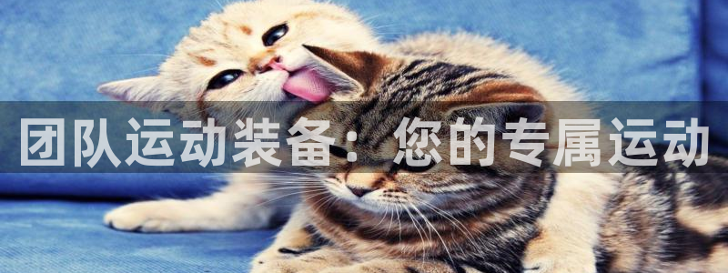 征途国际神州:团队运动装备:您的专属运动