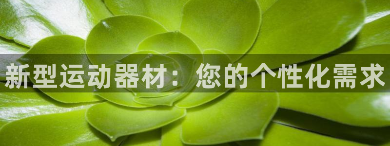 征途国际平台体育:新型运动器材:您的个性化需求