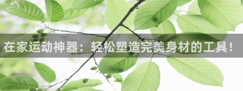 征途国际招商电话是多少号码:在家运动神器:轻松塑造完美身材的